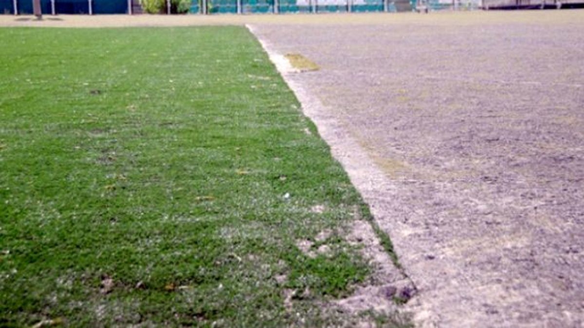 Bornova Stadı'nda Sadece Ceza Sahaları Yenilenince Maçlar Başka Stada Alındı