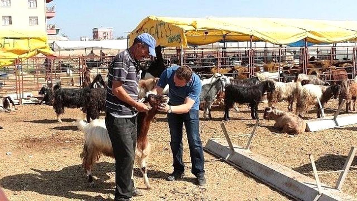 Ereğli Belediyesi Kurban Bayramı\'na Hazır