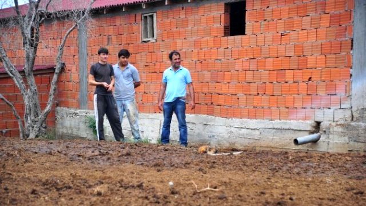Gübre Yığınına Batan Köpeği İtfaiye Kurtardı