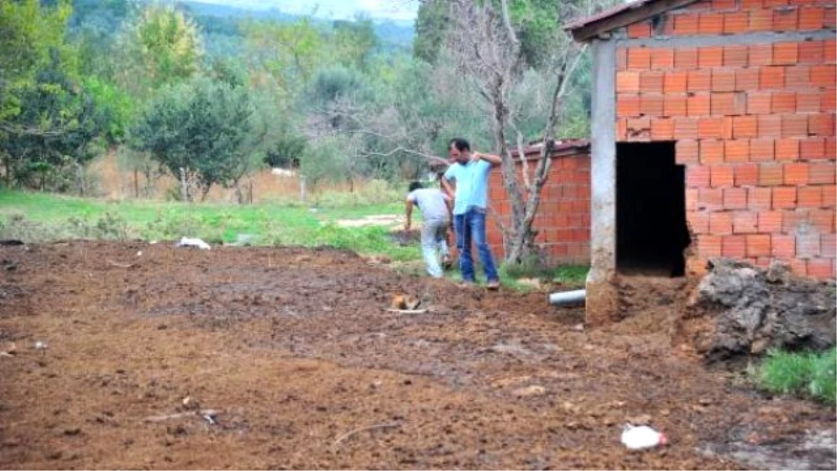 Gübre Yığınına Batan Köpeği İtfaiye Kurtardı