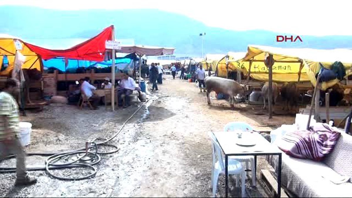 İzmir Kurbanlıklar Az Getirildi Çoğu Satıldı