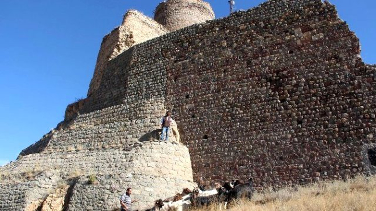 Kaçan Kurbanlık Keçiler Zor Anlar Yaşattı