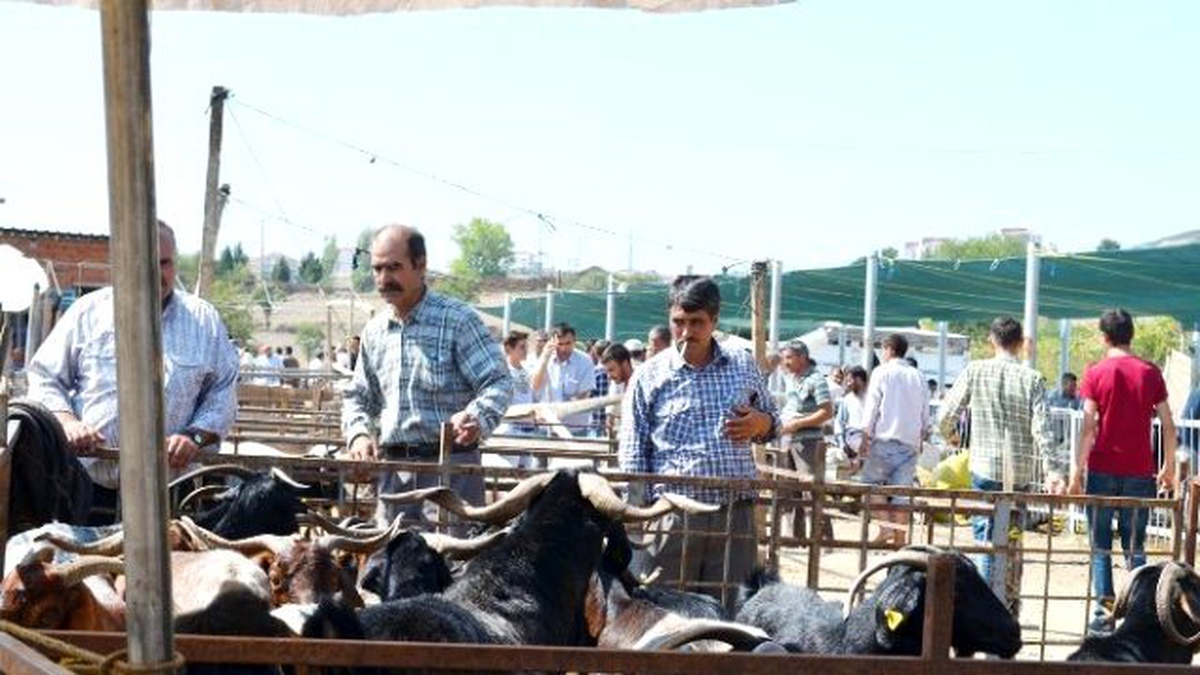 Kula\'da Küçükbaş Kurbanlık Fiyatları El Yakıyor