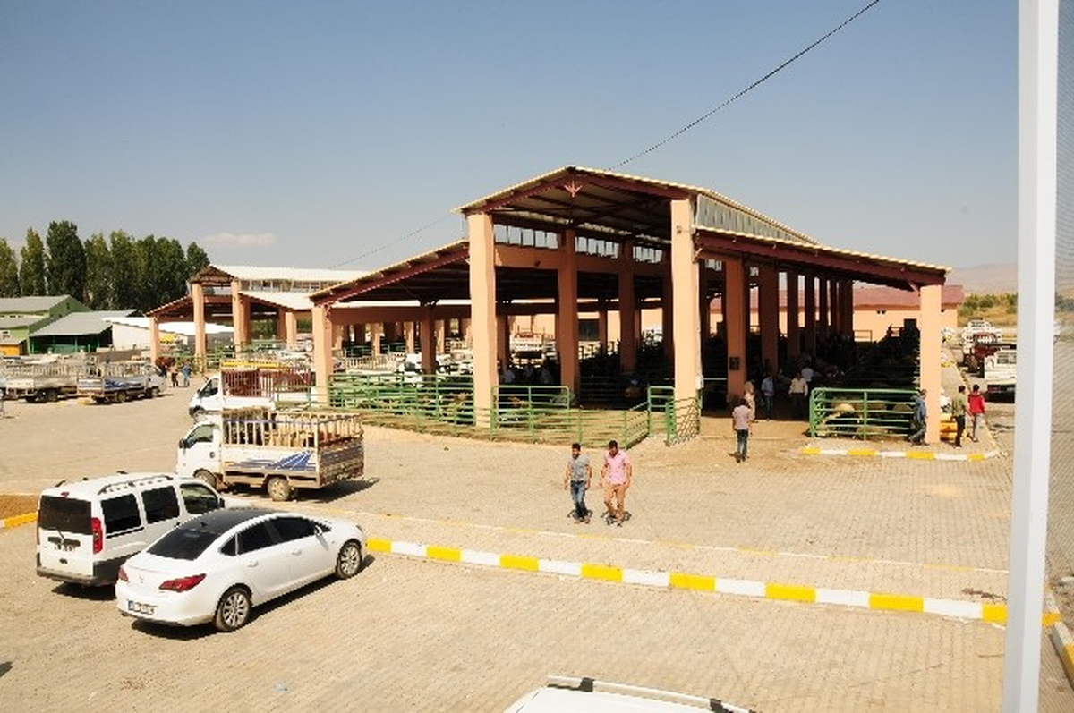 Muş\'ta Hayvan Pazarı Hizmet Vermeye Başladı