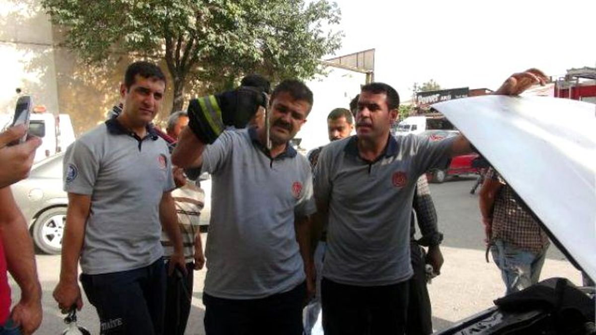 Otomobile Giren Yılanı İtfaiyeciler Öldürdü