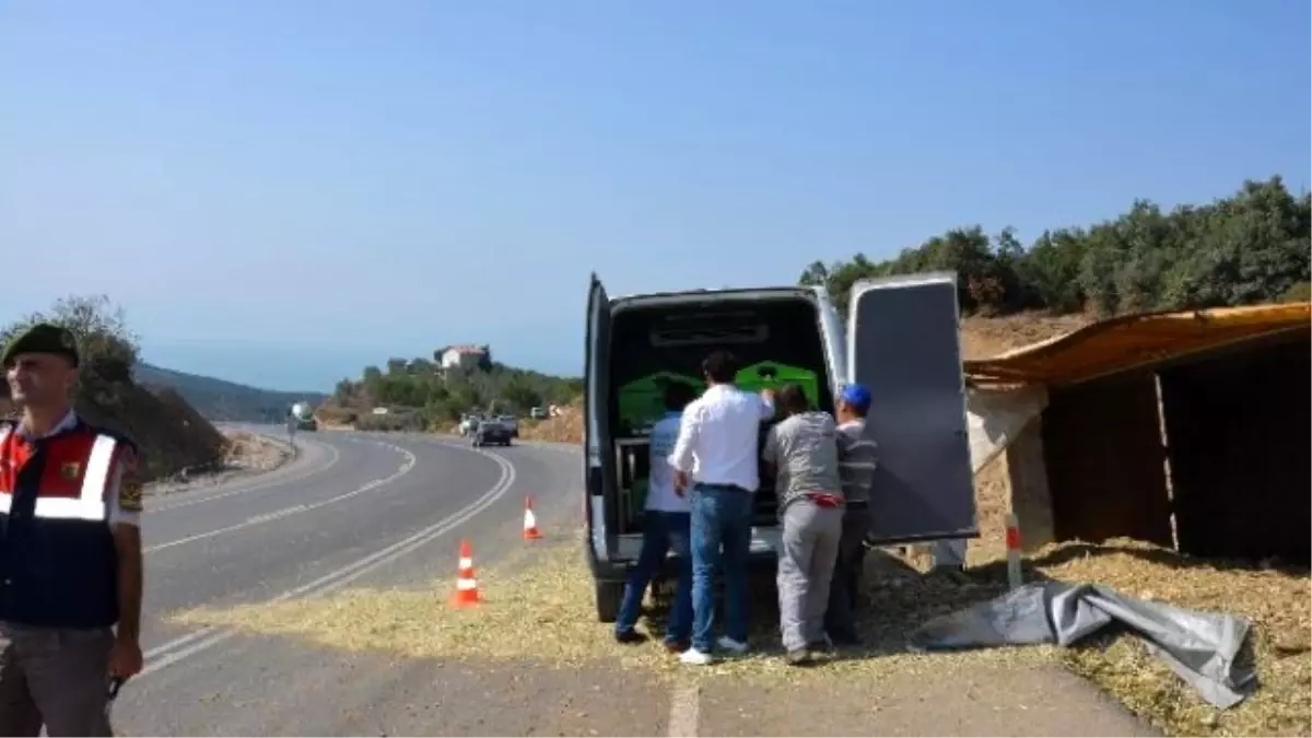 Yoldan Çıkan Kamyon Parçalandı, Sürücü Hayatını Kaybetti