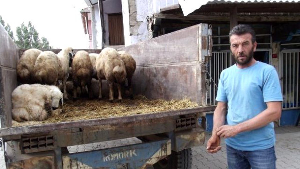 Akçadağ\'da Kurbanlık Satışları Durgun