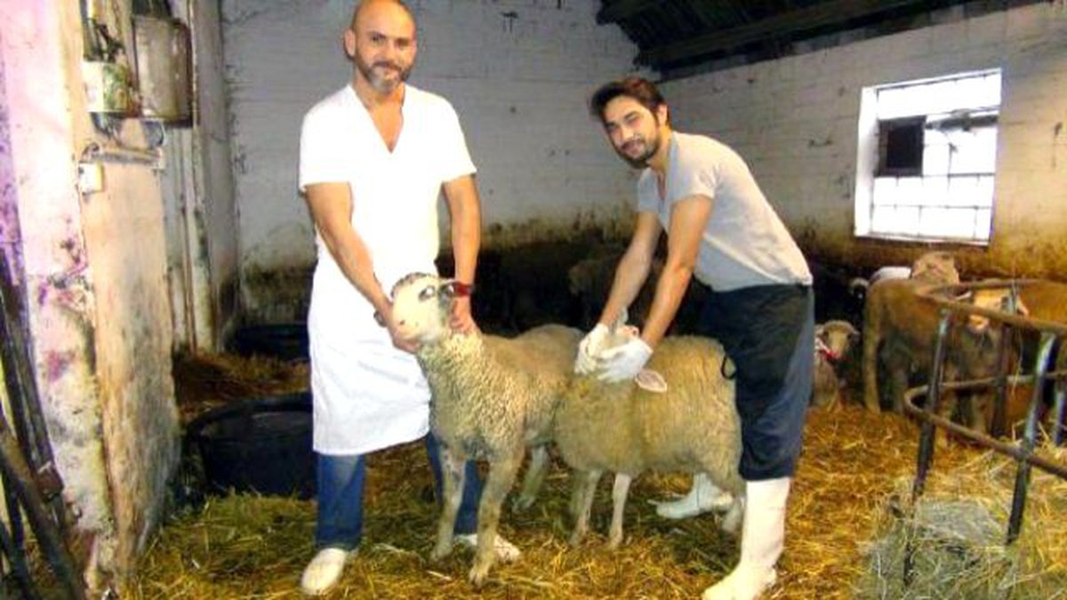 Almanya\'da Kurbanlıklarını Alan Türkler Bayramı Bekliyorlar