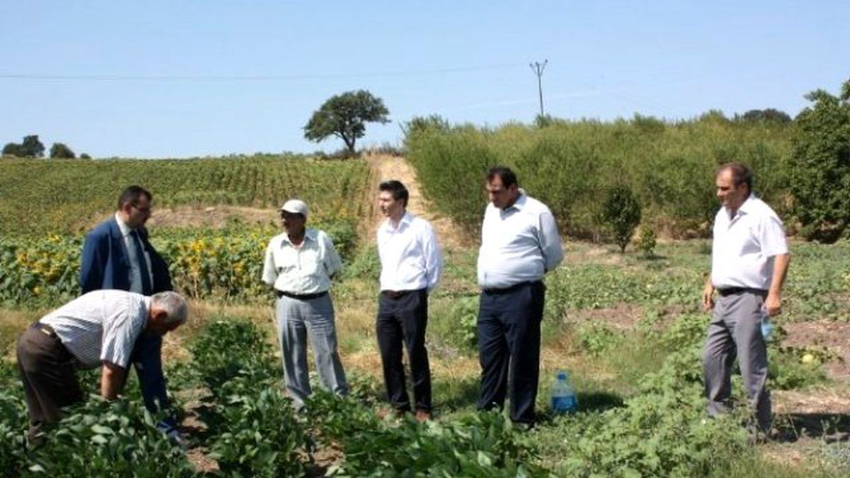 Bandırma\'da Soya Üretimi Desteği Talebi