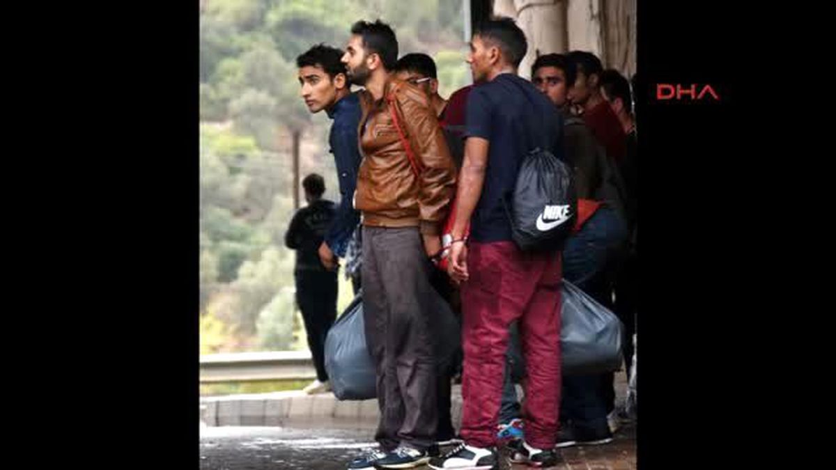 Bodrum - Adada Mahsur Kalan Kaçakları Sahil Güvenlik Kurtardı