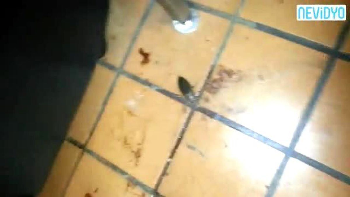 Dev Böceğin Ne Olduğunu Anlamaya Çalışırken...