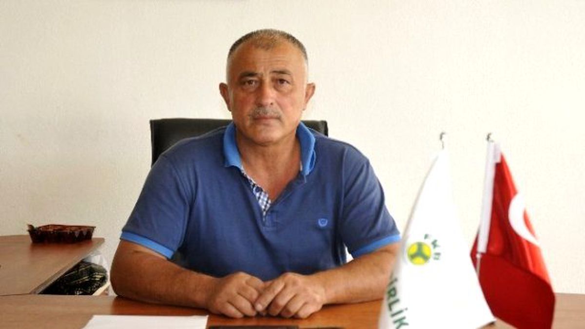 Fiskobirlik Fındık Alımına Başladı