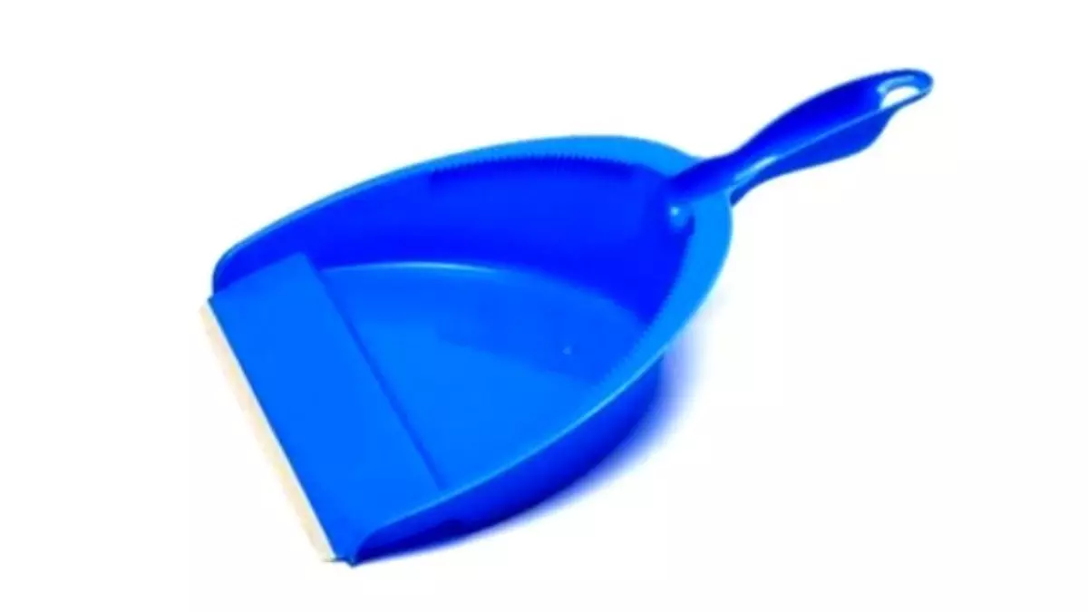 Florida Woman Attacks Boyfriend With Pooper Scooper Son Dakika