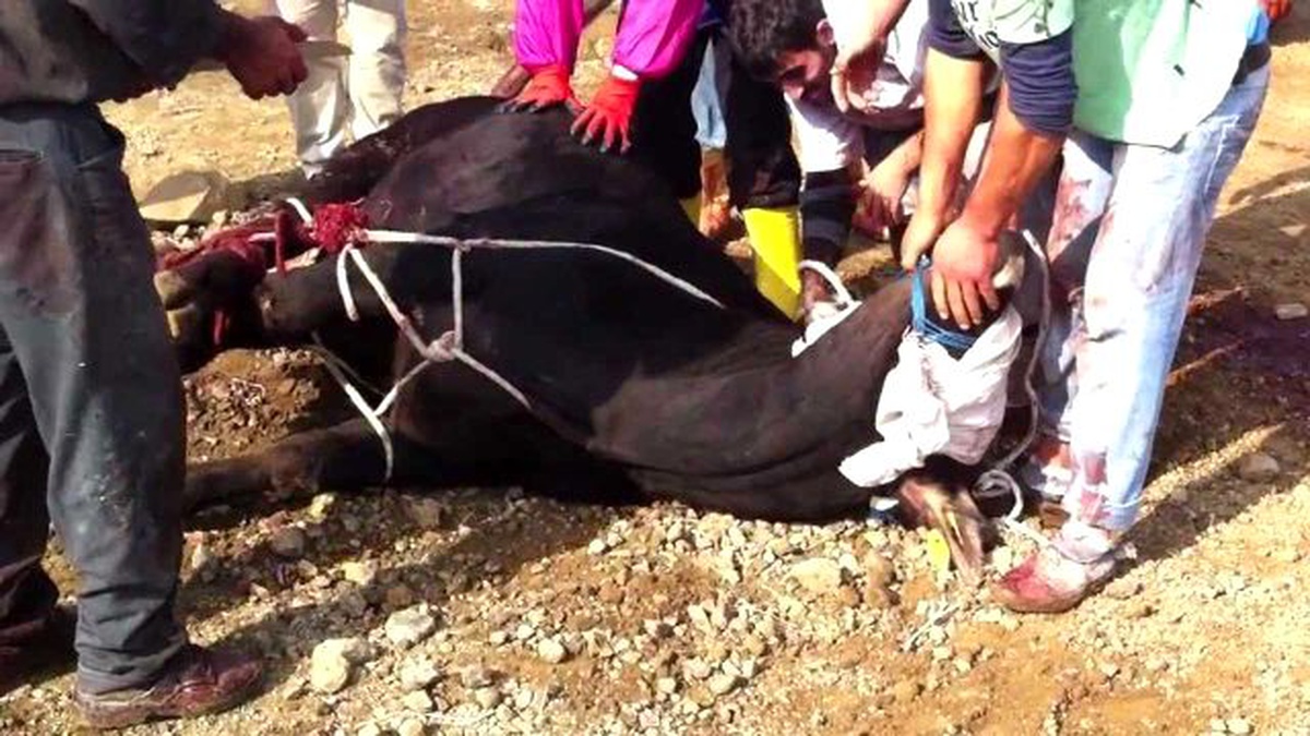 Kurban Bulundurma Ve Kesim Yerleri İle İlgili Uyarı Yapıldı