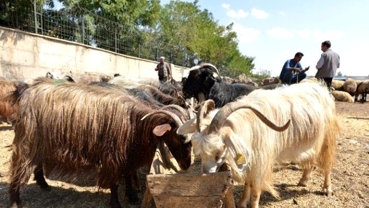 Kurban Kesim Yerlerinde Hazırlıklar Tamamlandı