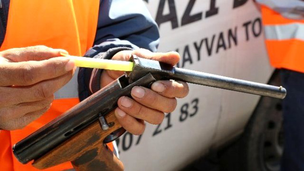 Melikgazi Belediyesi\'nden "Alo Kurbanım Kaçtı" Telefon Hattı