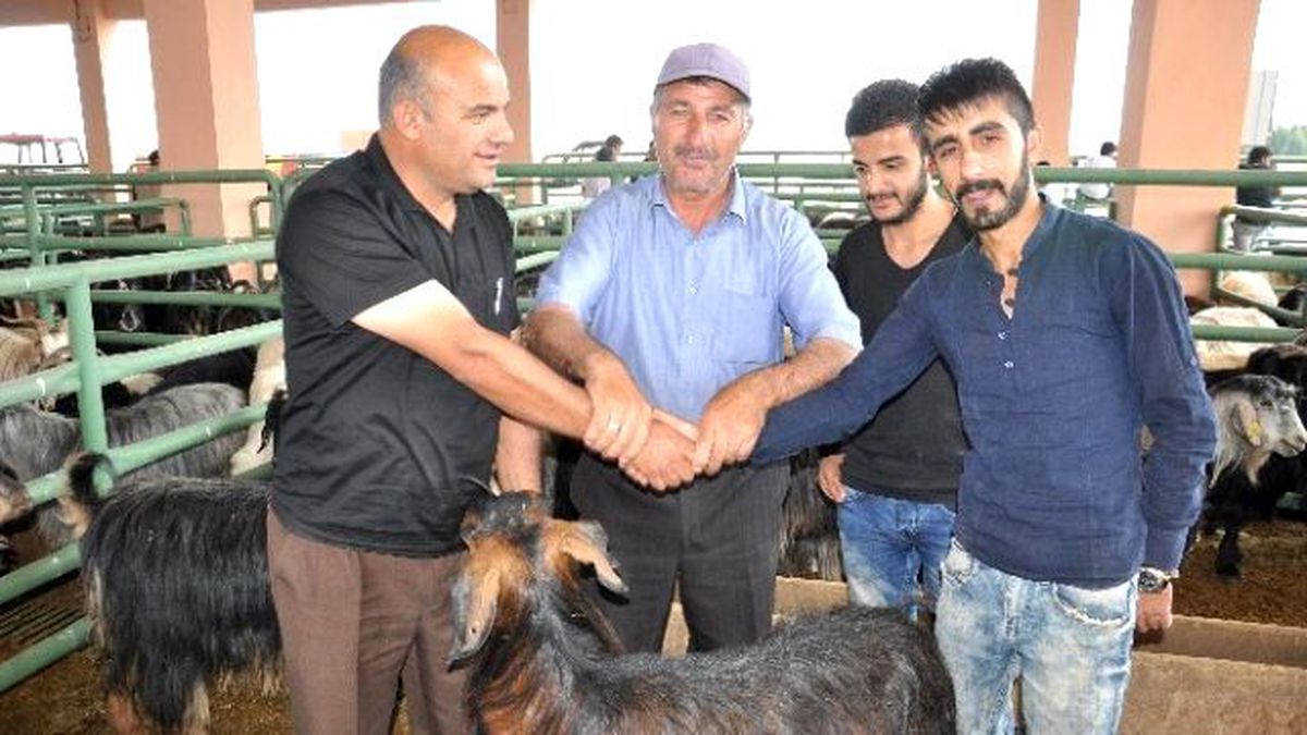Çatışma Ortamı Kurban Satışlarını Etkiledi