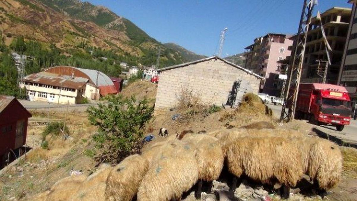 Şemdinli\'de Bayram Telaşı