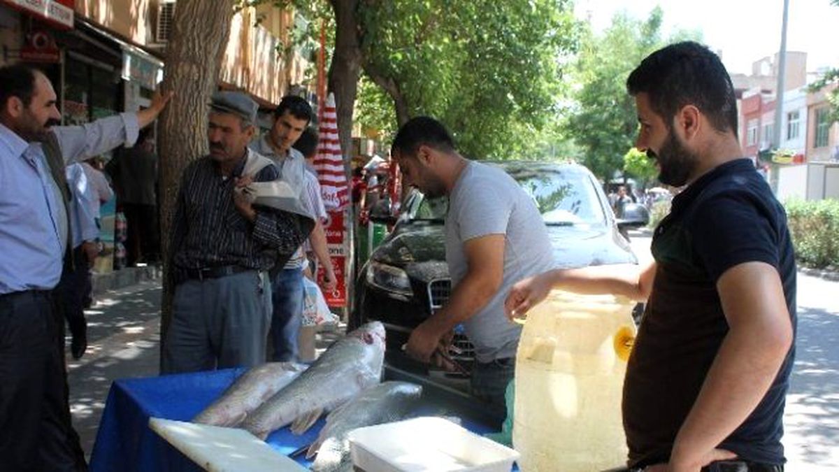 Siirt\'te Bayram Öncesi Balık Bereketi