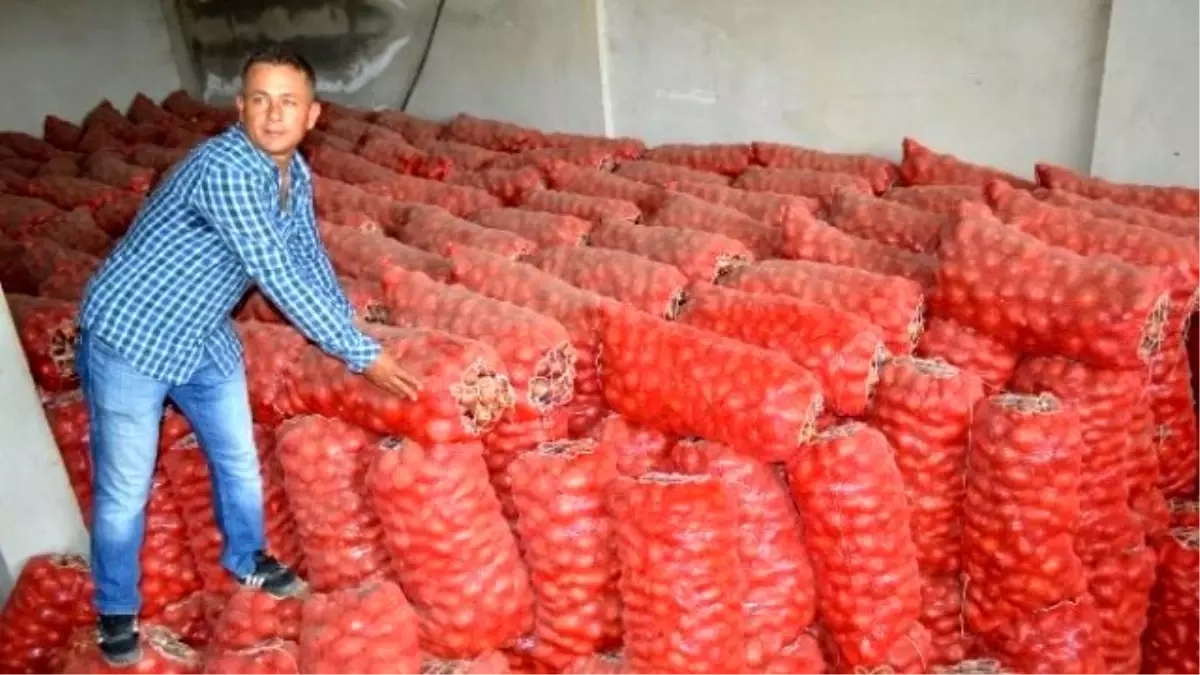 Soğan Önce Ağlattı, Sonra Güldürdü