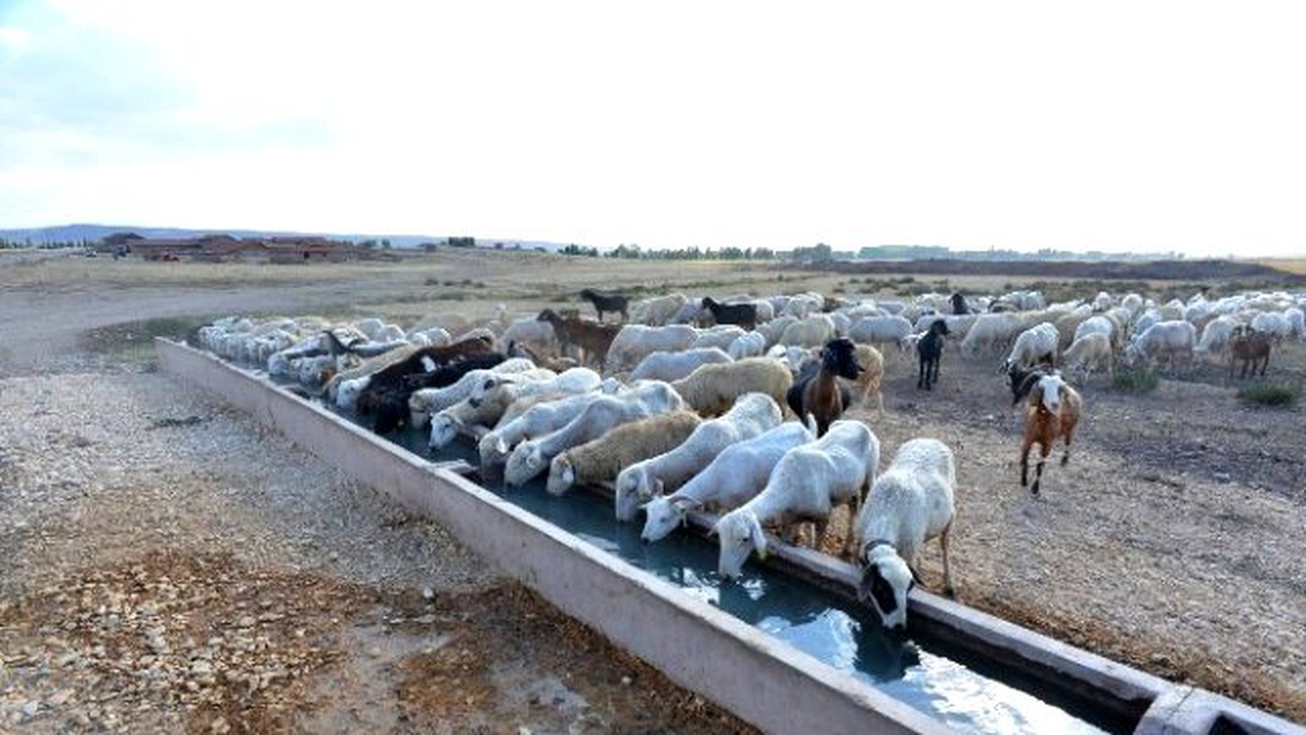 Su Sorunu Yaşayan Mahallelere Güneş Enerjisi ile Çözüm