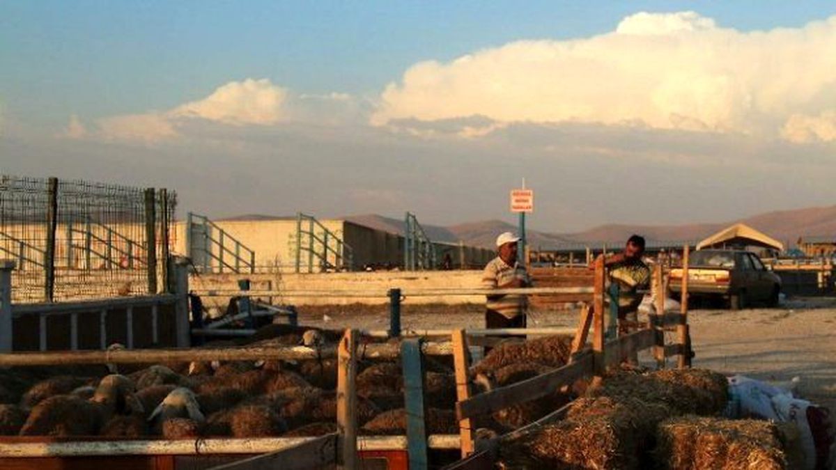 Tarım İl Müdürlüğünden Uyarı