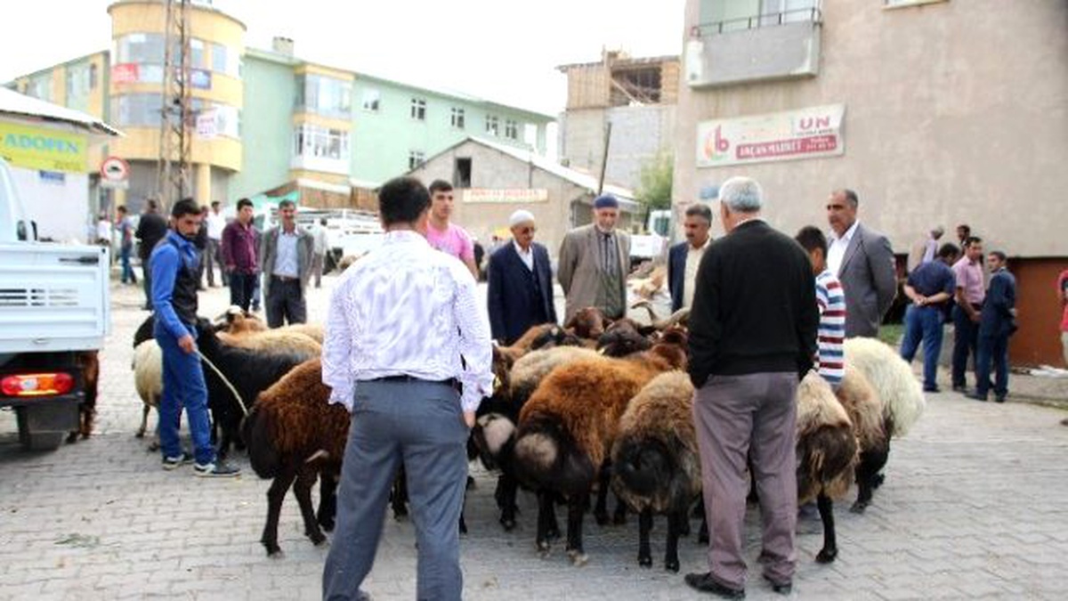 Varto\'da Kurbanlıklar Görücüye Çıktı