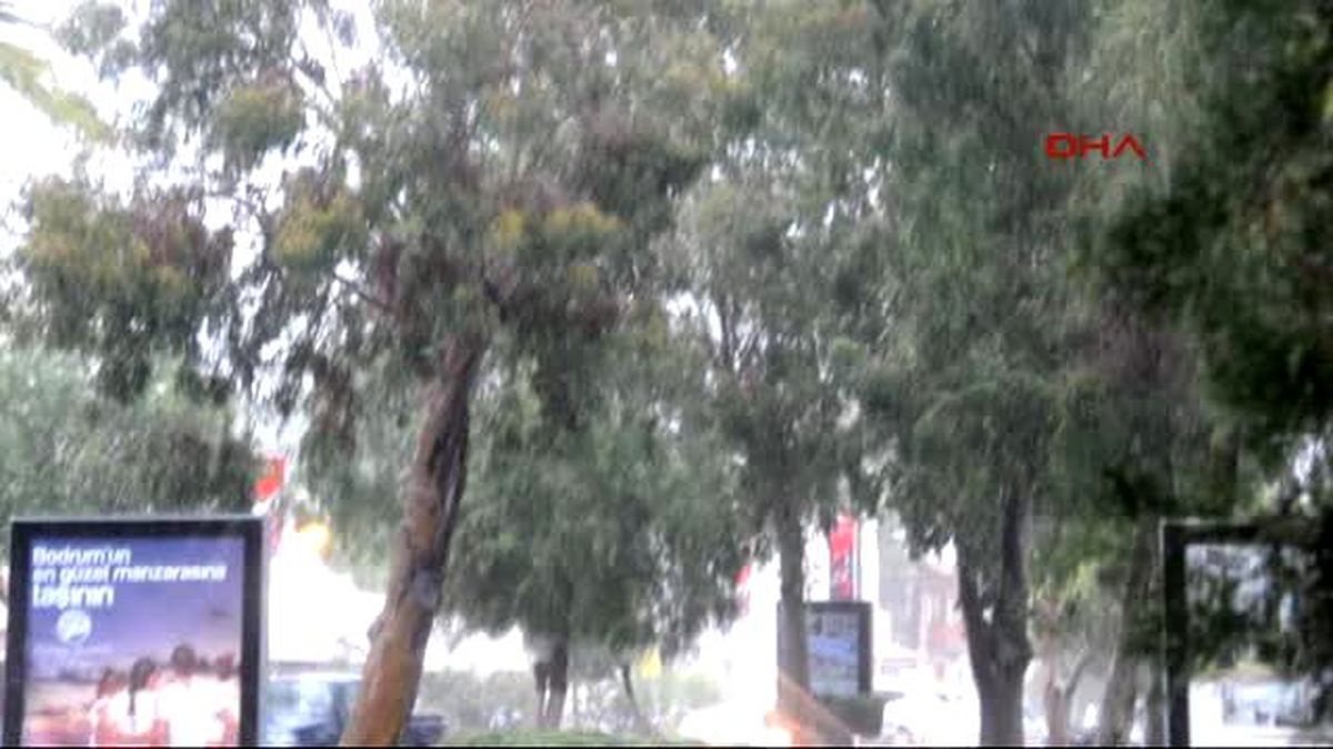 Yağmurun Tadını Çıkardılar