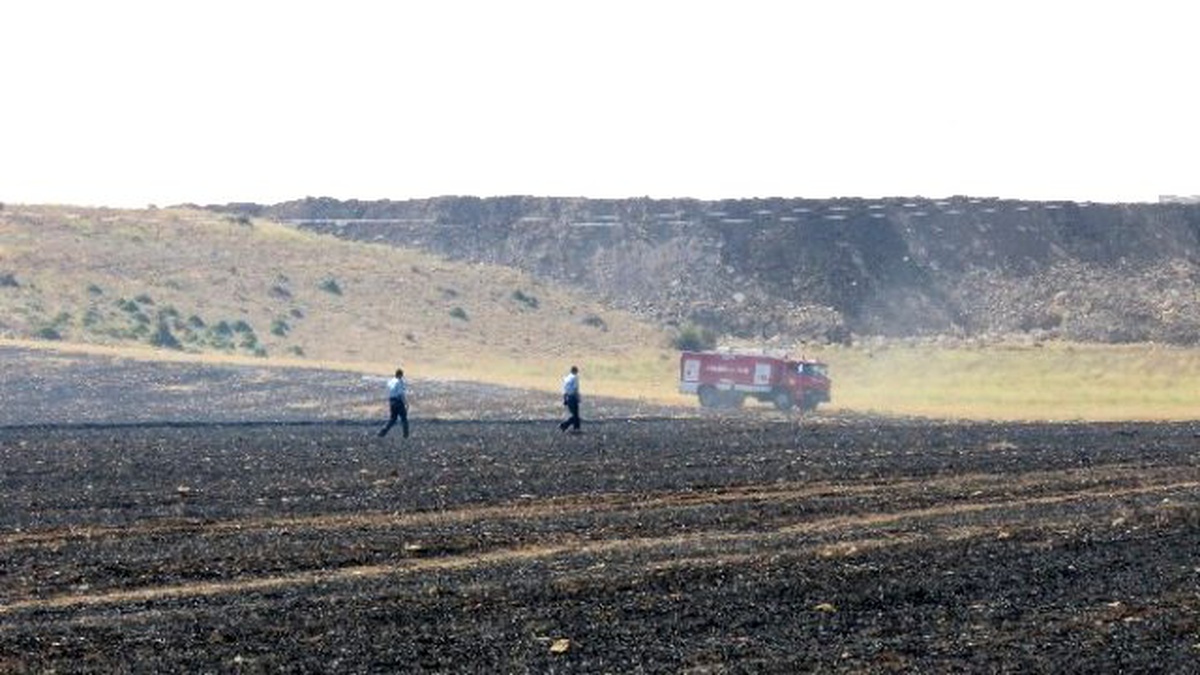 Yakılan Anızlar, Kaplumbağaları da Canından Ediyor