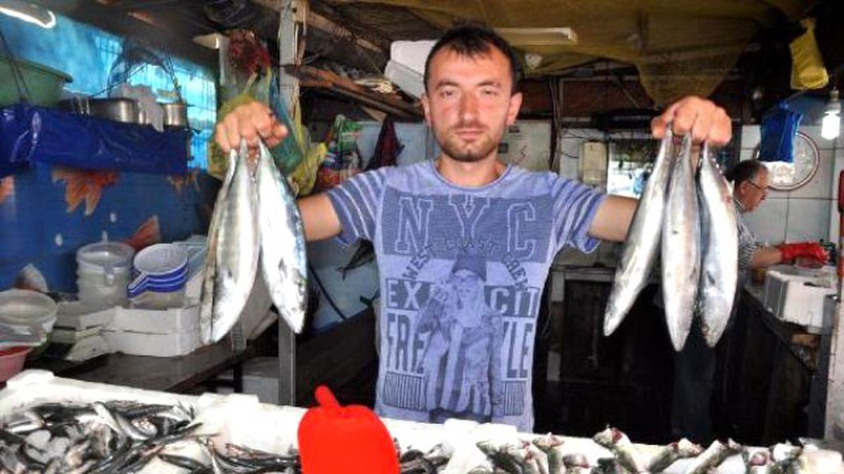 Zonguldak\'ta Balık Satışları Düşük
