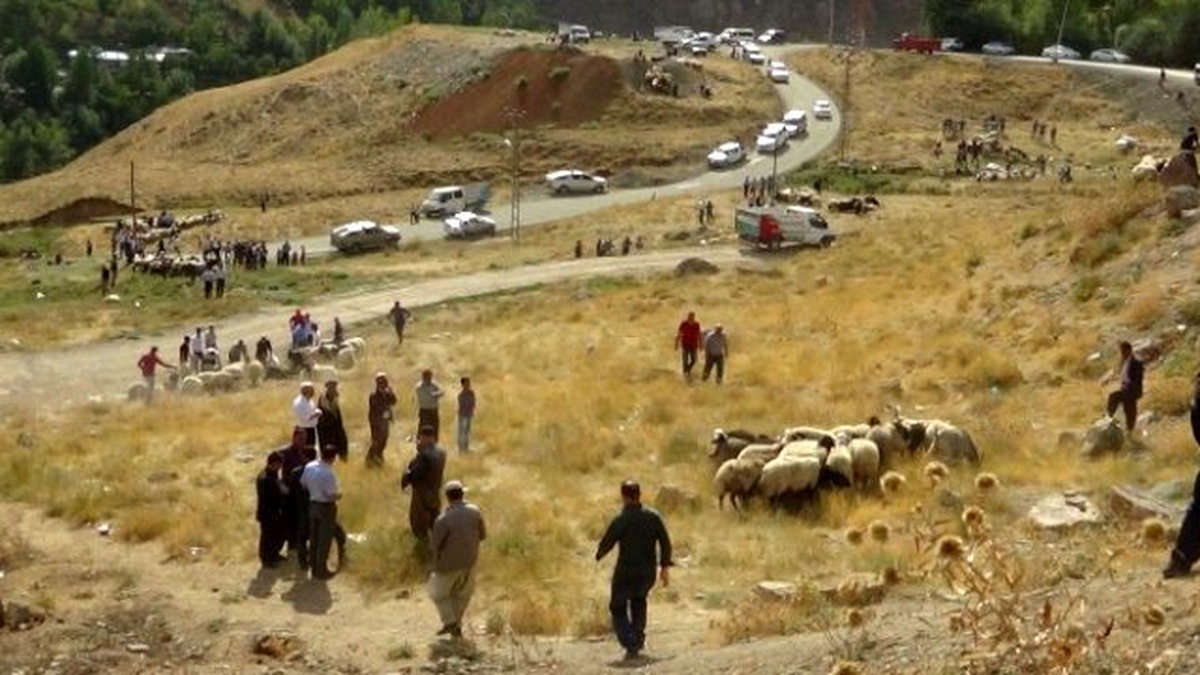 Bölgedeki Çatışmalar Kurban Satışlarını Etkiledi