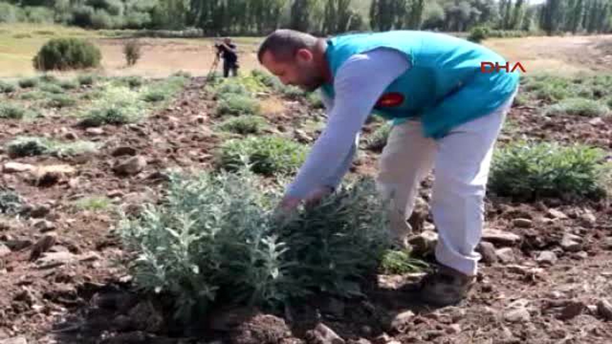 Burdur Organik Köy 2 Milyon Ton Su Tasarrufu Sağladı