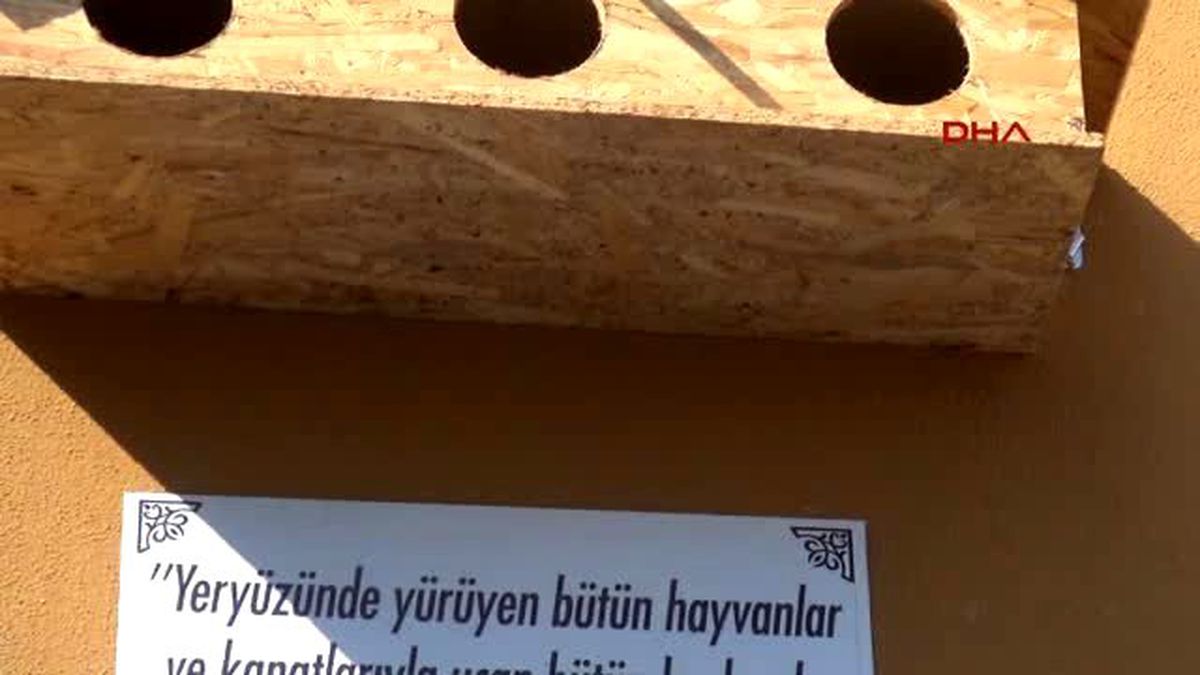 Cumhurbaşkanı Erdoğan Provokasyonların, Saldırıların, Tahriklerin Gayesini Çok İyi Biliyoruz