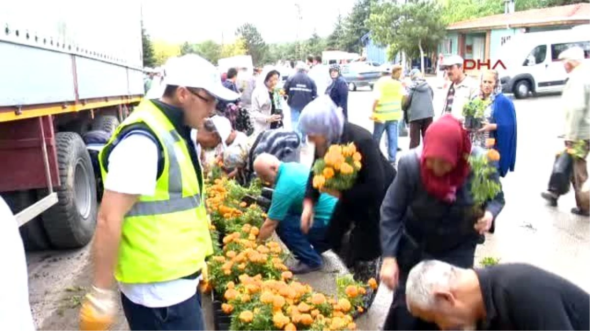 Eskişehir Kabir Ziyareti Çiçekleri Belediyeden