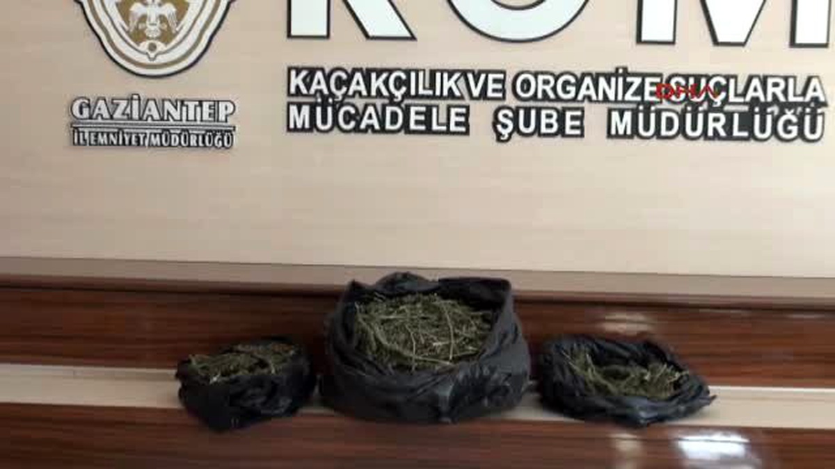 Gaziantep\'te Esrar Operasyonu: 3 Gözaltı