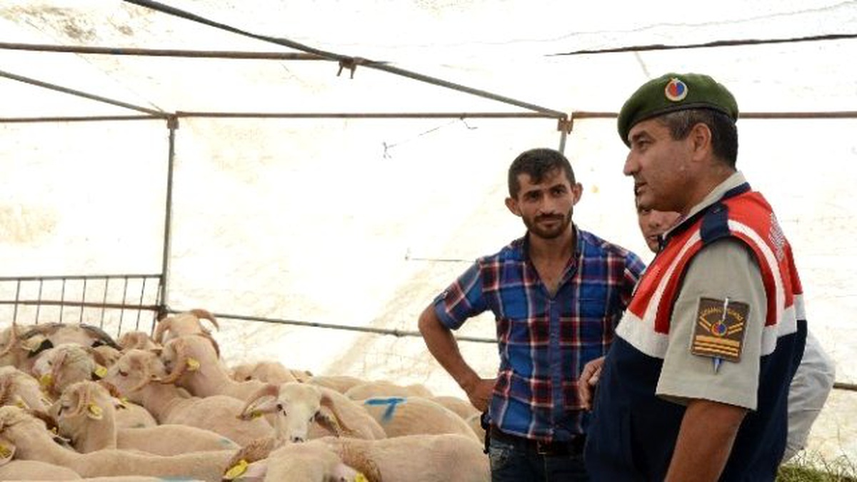 Hayvan Pazarında Jandarmadan Sıkı Denetim