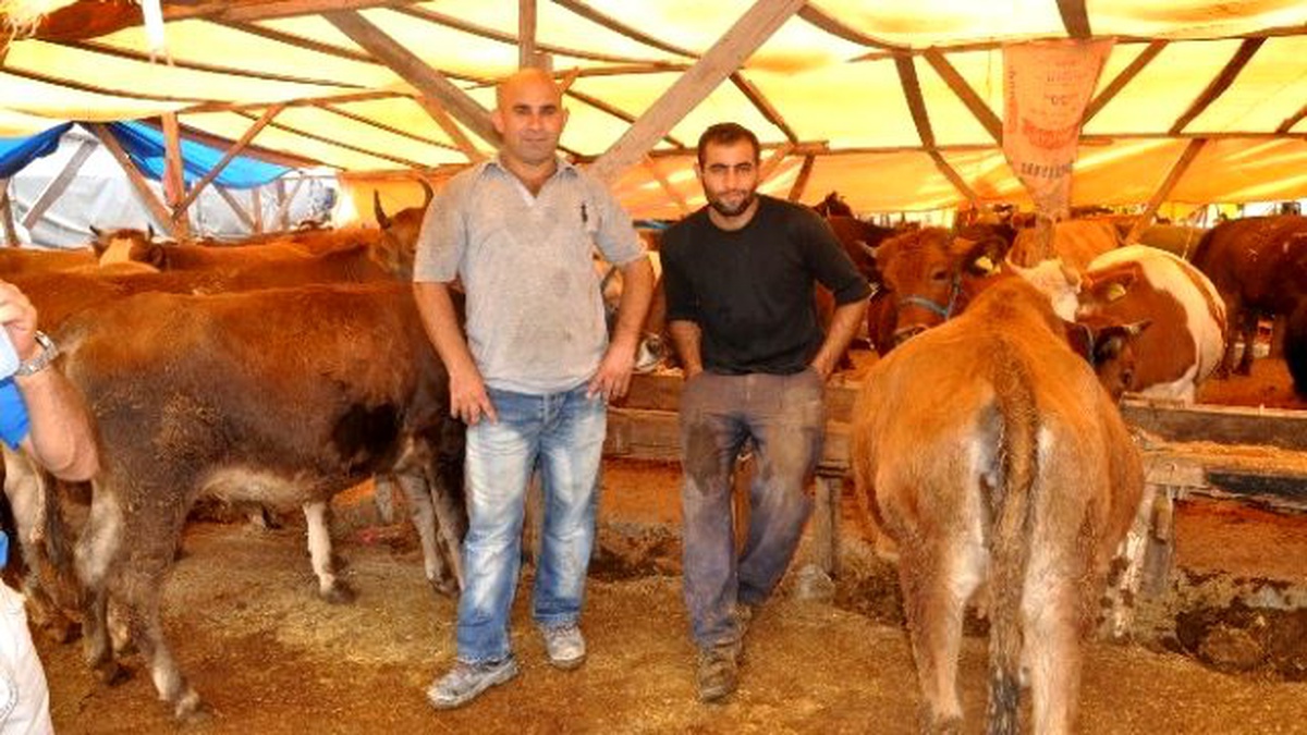 İzmir\'de Büyükbaş Kalmadı, Küçükbaş Kurban Kaldı