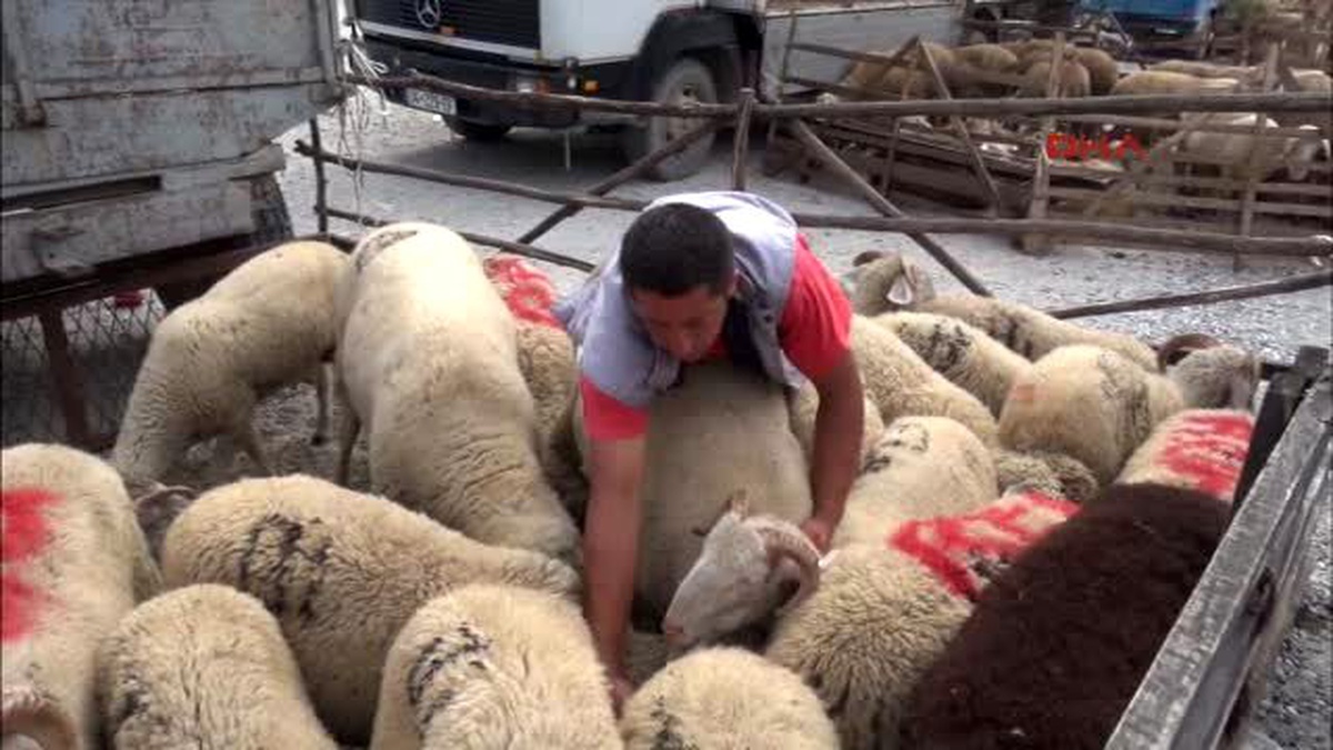Kosova\'da \'Dar Gelir\' Kurban Pazarını Vurdu