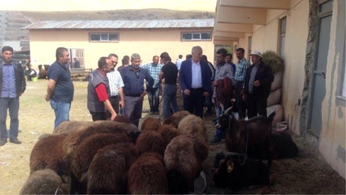 Kurban Kesim Yerleri Belli Oldu