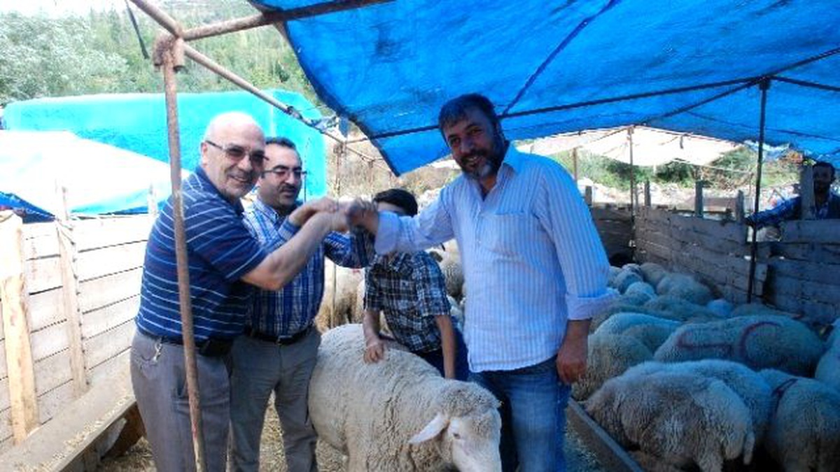 Kurban Satıcılarının Yüzü Güldü