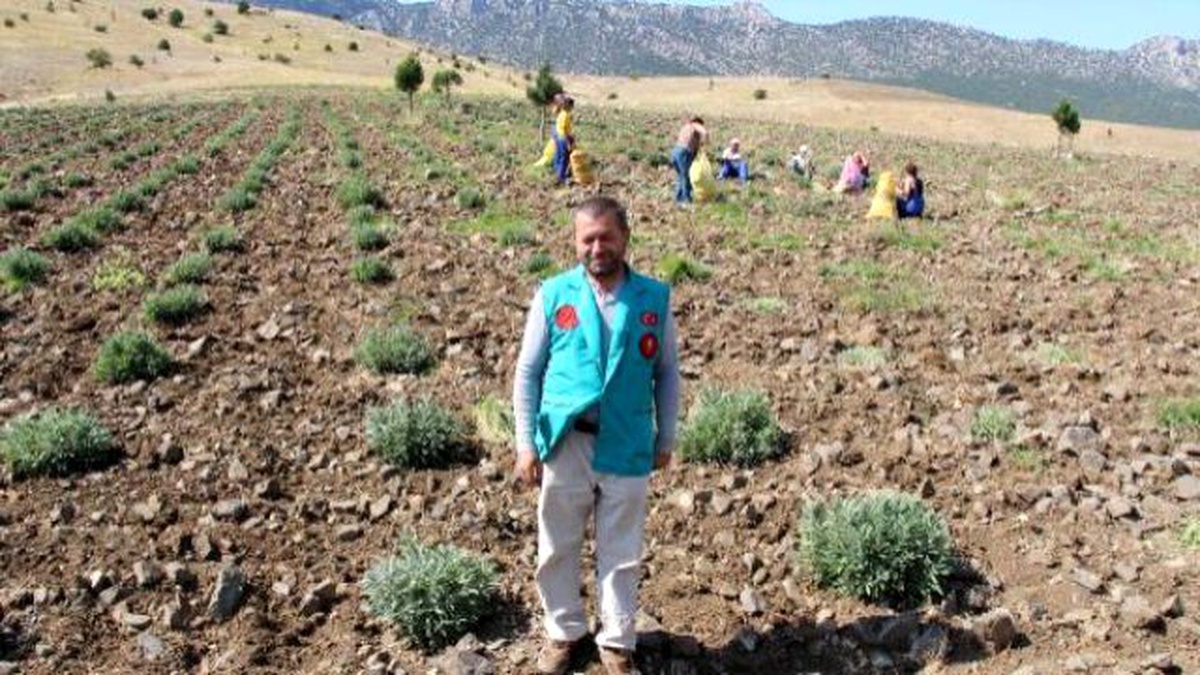 Organik Köy, 2 Milyon Ton Su Tasarrufu Sağladı