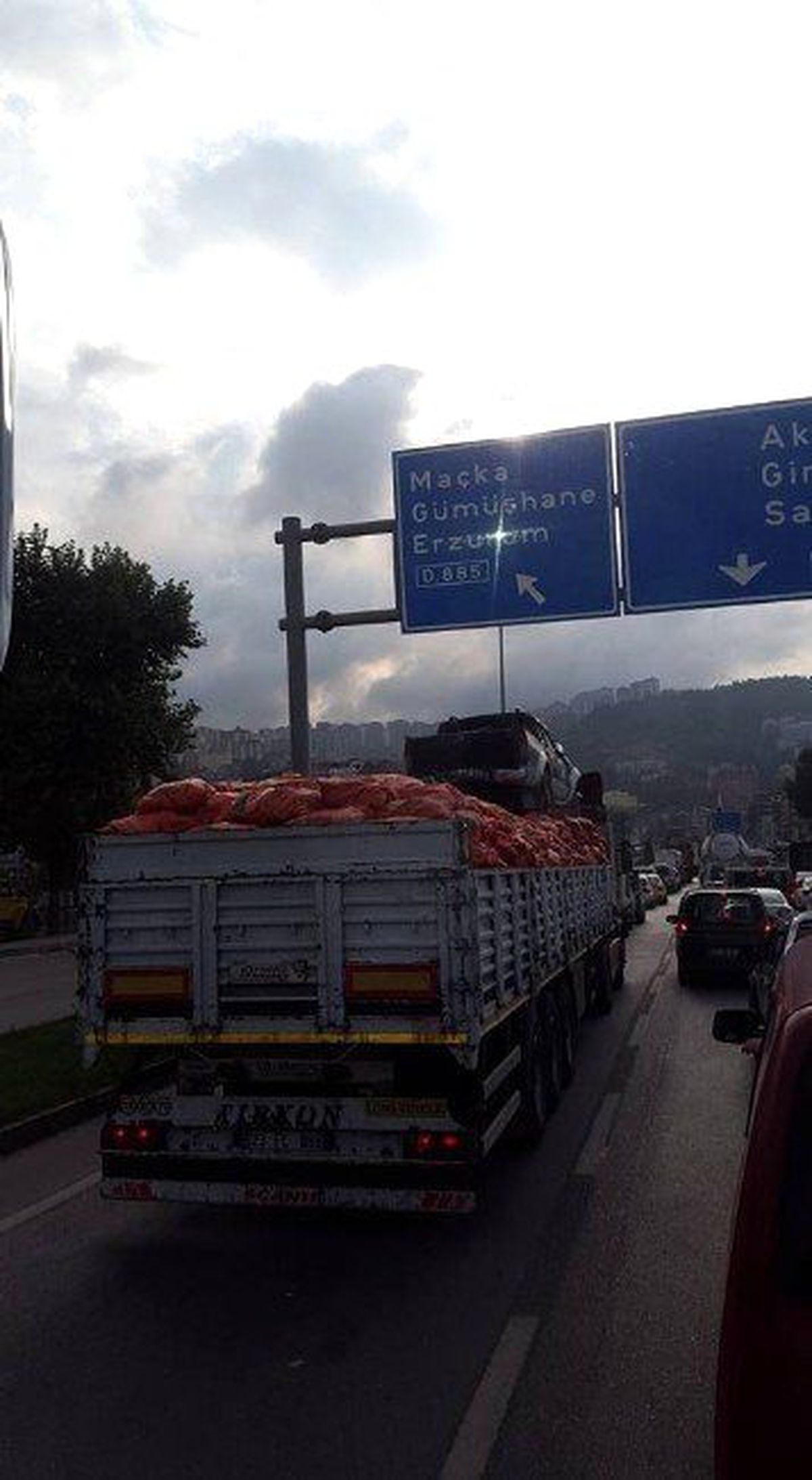 Taşımacılıkta Sınır Yok