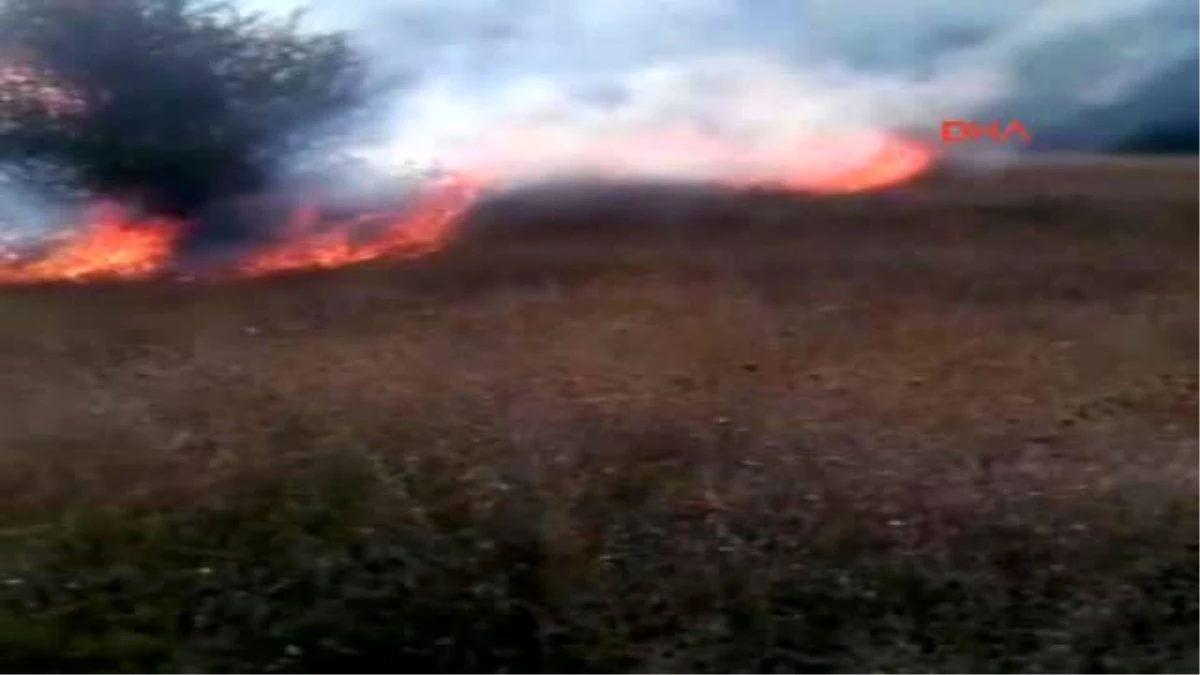 Tokat\'ın Almus İlçesine Bağlı Çiftlik Köyü Yakınlarında Çıkan Orman Yangını, Çevre Köylerde Bulunan...