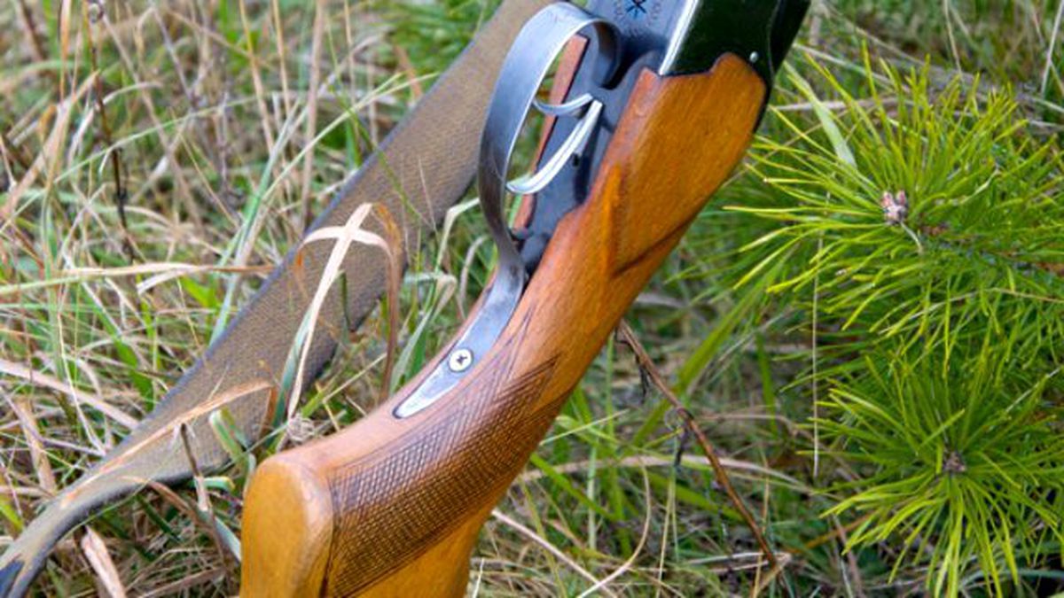 Tüfeğin Dipçiğiyle Meyve Dalına Vurunca Canından Oldu