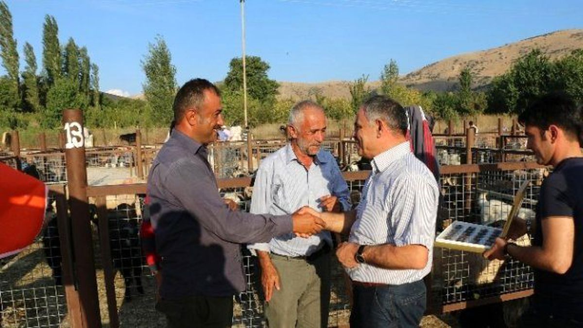 Yahyalı Kurbana Hazır