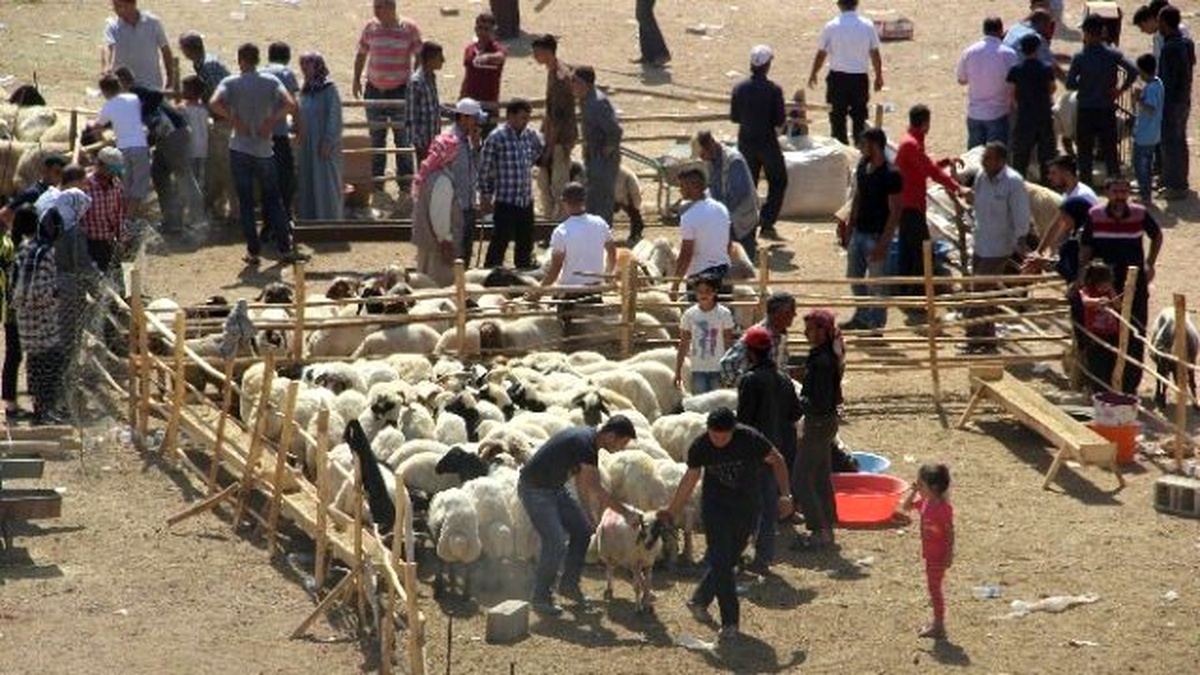 Bayramın İlk Günü Kurbanlık Alanlar Karlı Çıktı