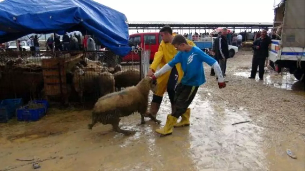 Çamura Bulanan Hayvan Pazarı Hem Alıcıyı Hem de Satıcıyı Zorladı