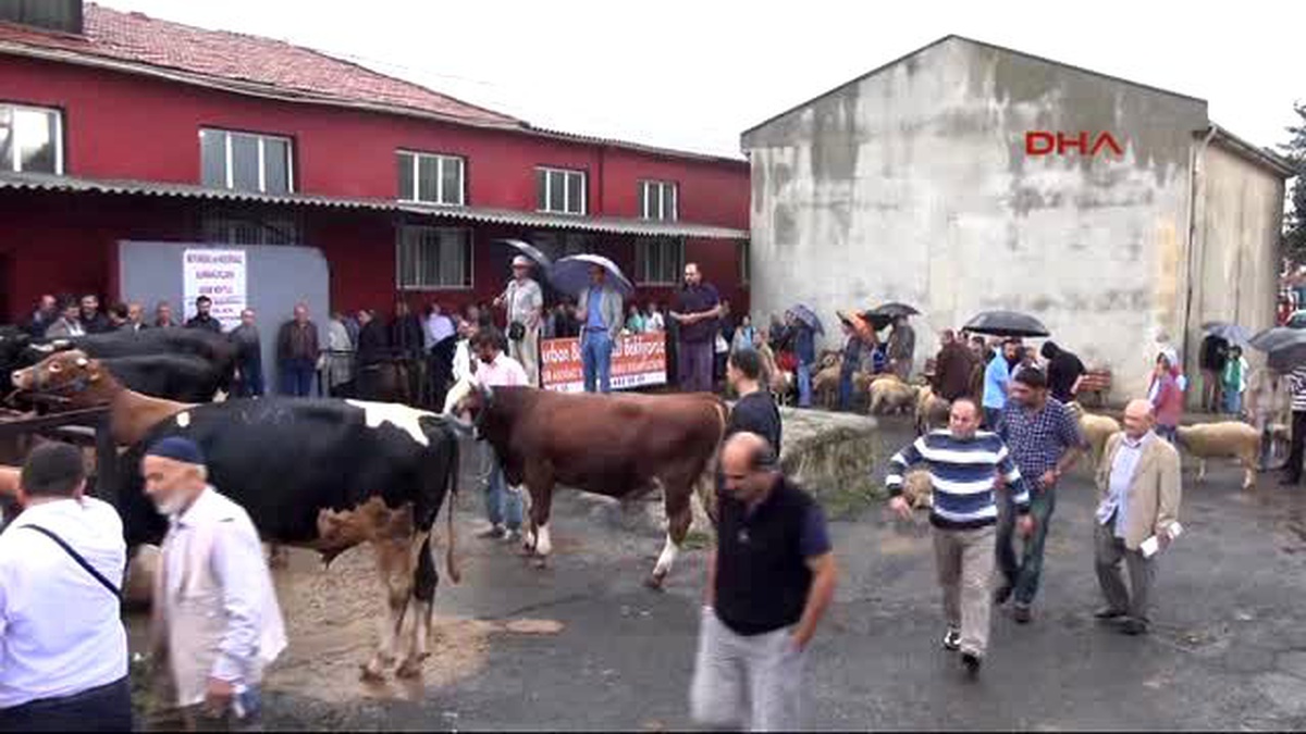 Çorlu Büyükler Kurban Kesti, Küçükler Cep Telefonuna Çekti