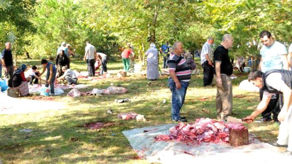 Kadın ve Çocuk Kasaplar İşbaşında