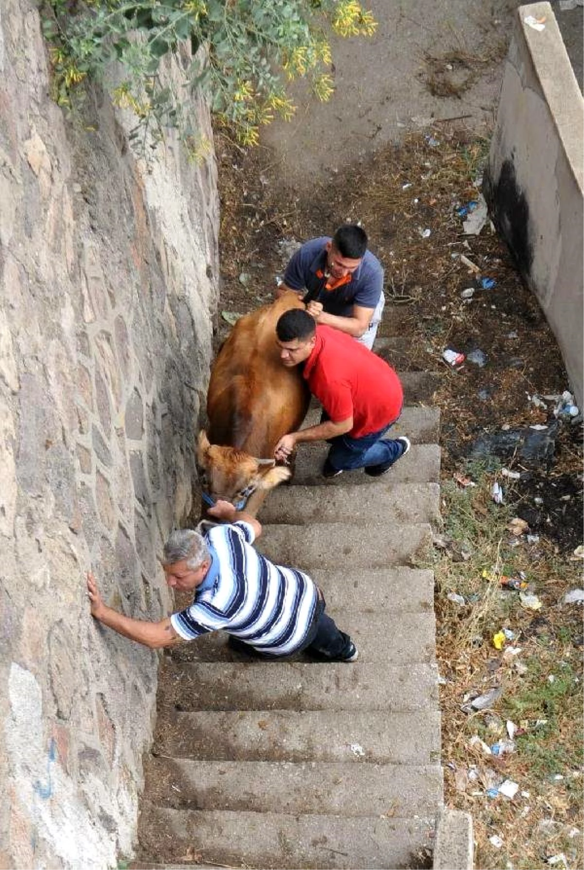 İzmir\'de Kurban Bayramı Kutlamalarında Manzara Değişmedi (2)